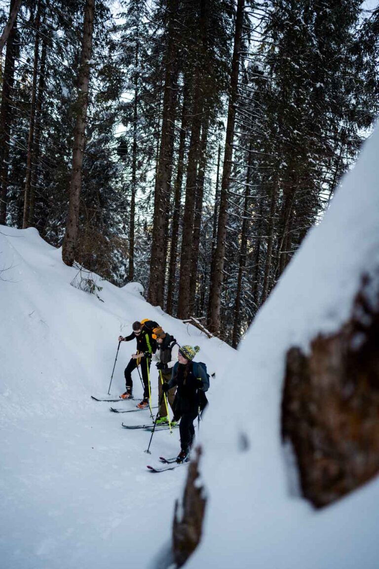 drei Skitourenläufer laufen den Wald hoch